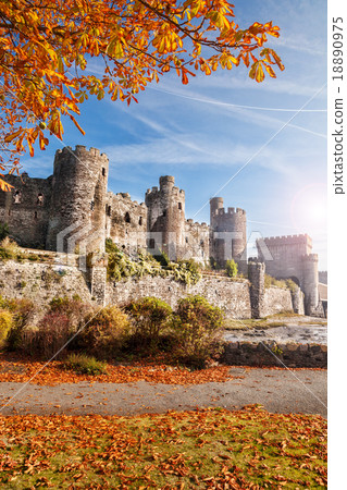 Conwy Castle with autumn leaves in Wales, UK Conwy Castle with autumn leaves in Wales, UK 18890975