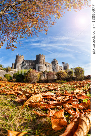 Conwy Castle with autumn leaves in Wales, UK Conwy Castle with autumn leaves in Wales, UK 18890977