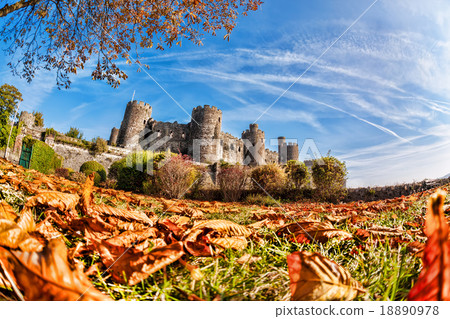 Conwy Castle with autumn leaves in Wales, UK Conwy Castle with autumn leaves in Wales, UK 18890978