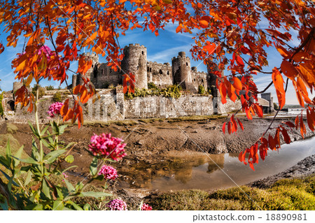 Conwy Castle with autumn leaves in Wales, UK 18890981