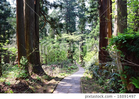 Mt. Crown of Mt. Haguroyama Michelin · Green Guide · Japon Acquisition Mitsuzu Star 18891497