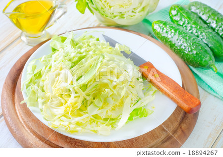 cabbage cabbage 18894267