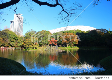 小石川後樂園 小石川後樂園 18894533