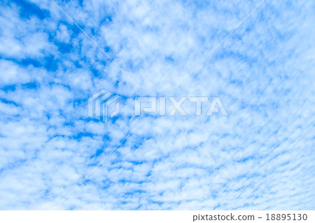 Cloud high cumulus cloud cloud piece blue sky general sky and clouds white clouds autumn sky background material cloud composite background 18895130
