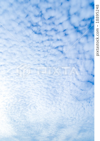 Cloud high cumulus cloud cloud piece blue sky general sky and clouds white clouds autumn sky background material cloud composite background 18895248