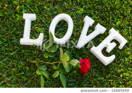Love sign with rose Love sign with rose 18895649
