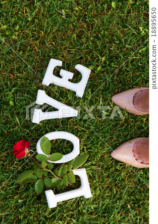 Love sign with rose Love sign with rose 18895650
