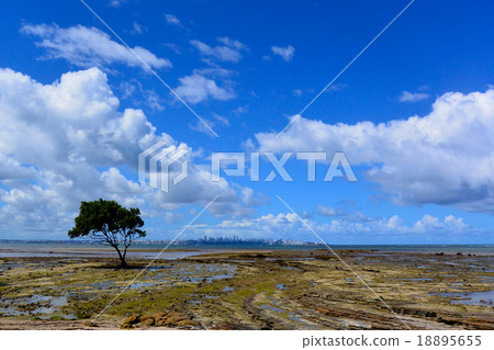 巴西的大海和天空 巴西的大海和天空 18895655