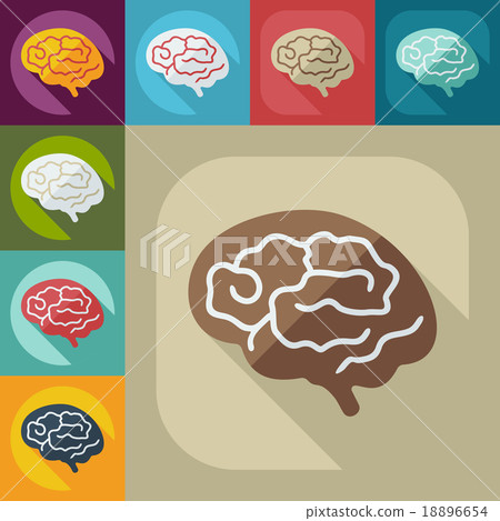 Flat modern design with shadow the brain-插圖素材 [18896654] - PIXTA圖庫