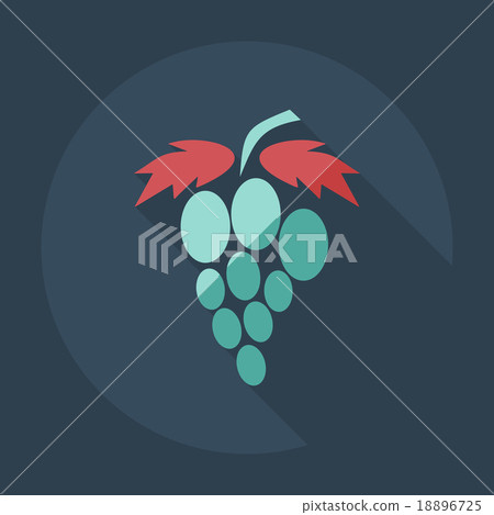 Flat modern design with shadow icons grapes 18896725