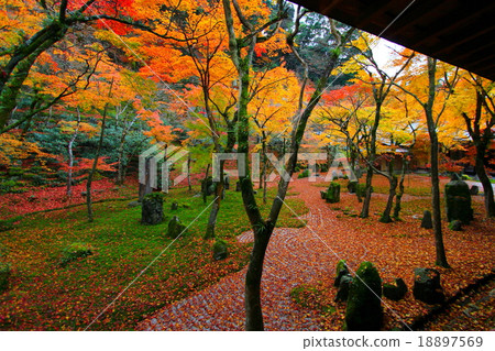 Kyushu Fukuoka Prefecture Dazaifu Koaki Zenji Tourist spot Autumn leaves 18897569