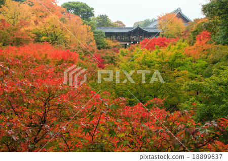 東福寺 東福寺 18899837
