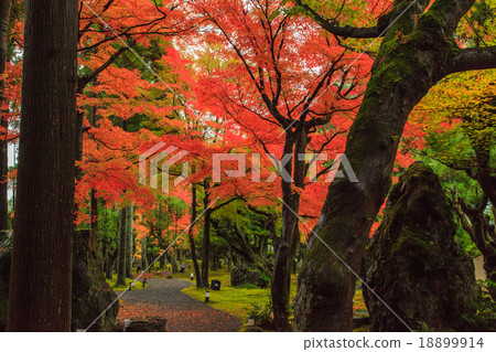 Sho-zan度假村秋葉 18899914