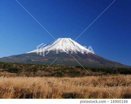 富士山在早晨霧高地 18900186