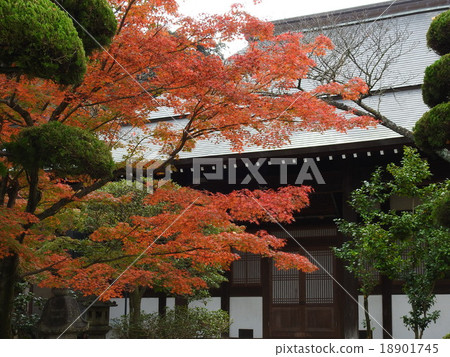 寺廟的秋葉 18901745