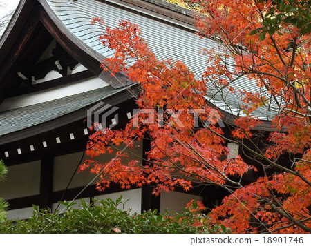 寺廟的秋葉 18901746