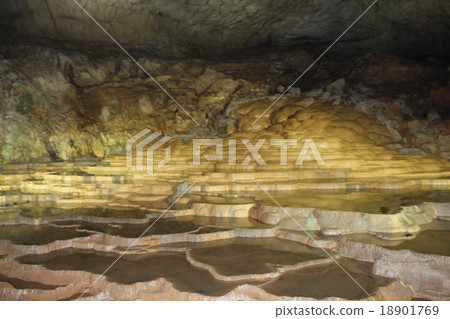 A thousand dishes A thousand dishes 18901769