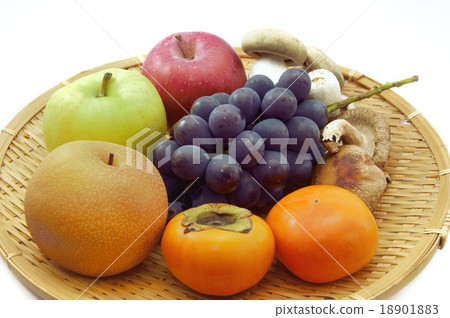 秋天的味道 秋天的味道 18901883