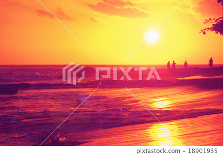 Hawaiian sunset 18901935