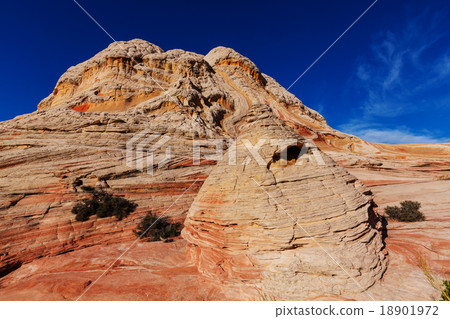 White pocket 18901972