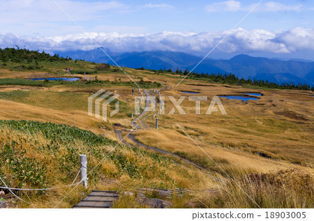 Naeba mountain top plateau natural garden and mountain trails Naeba mountain top plateau natural garden and mountain trails 18903005