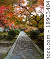 秋葉隧道 18903404