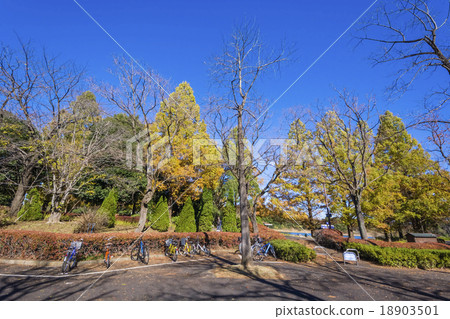 在船庫前面的自行車公園 18903501