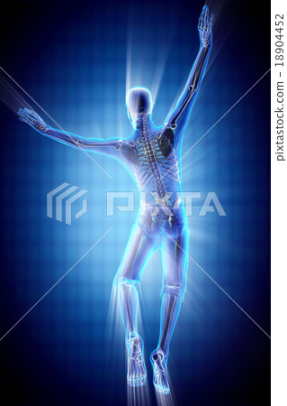 human bones radiography scan image-插圖素材 [18904452] - PIXTA圖庫