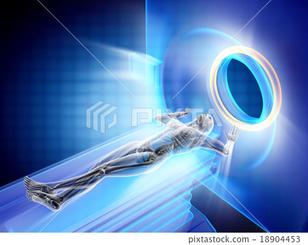 mri examination of human bones mri examination of human bones 18904453