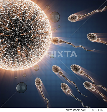 sperm and egg cell. microscopic image sperm and egg cell. microscopic image 18904469