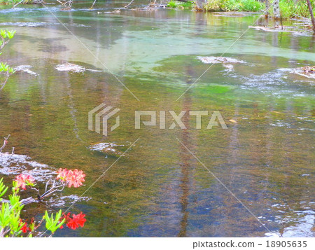 Takeshizawa Mire 18905635