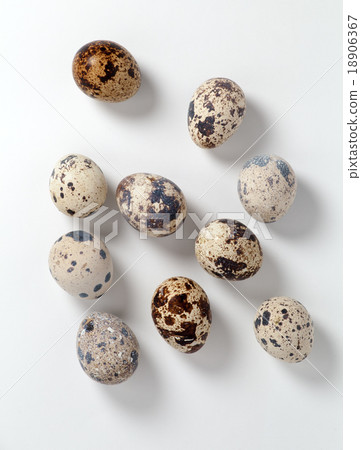 collection of quail eggs collection of quail eggs 18906367
