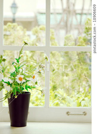 Fresh white flowers in a pot on white retro window 18906609
