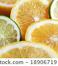 Sliced citrus fruits background 18906719