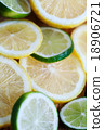 Slices of various citrus fruits 18906721