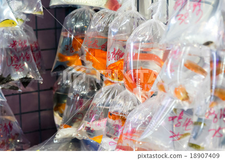 Goldfish Street (China - Hong Kong) 18907409