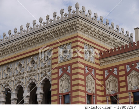 Bachucharasha Bachucharasha 18908287