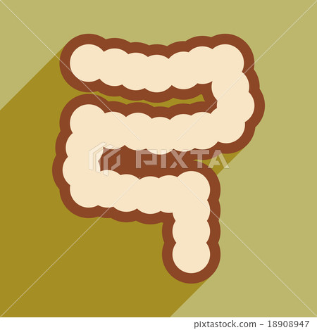 Icon of human duodenum in flat style 18908947