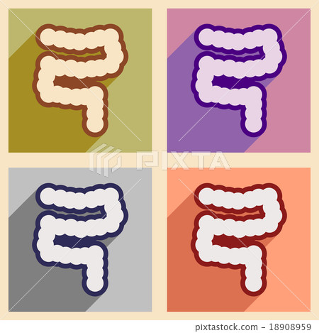 Icons of assembly duodenum in flat style 18908959