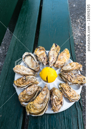 A dozen oysters on a plastic plate 18909295