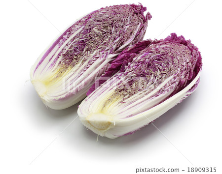 Purple cabbage 18909315