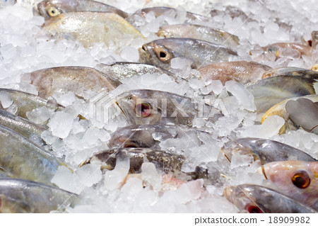 Fresh fishes on ice at the fish market Fresh fishes on ice at the fish market 18909982