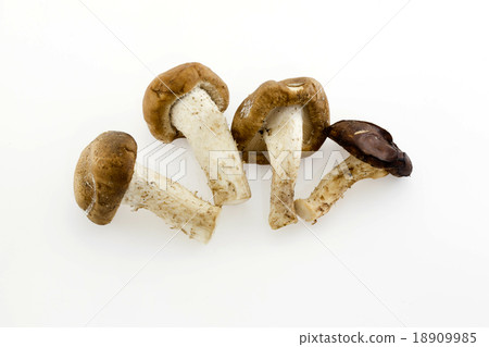 Dried Chinese mushroom on the White background 18909985