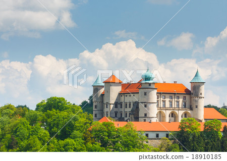View of Nowy Wisnicz castle, Poland 18910185