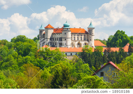 View of Nowy Wisnicz castle, Poland View of Nowy Wisnicz castle, Poland 18910186