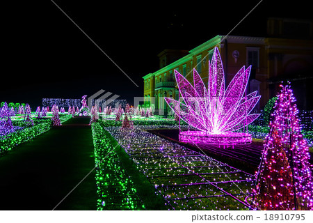 Royal Garden of Lights 18910795