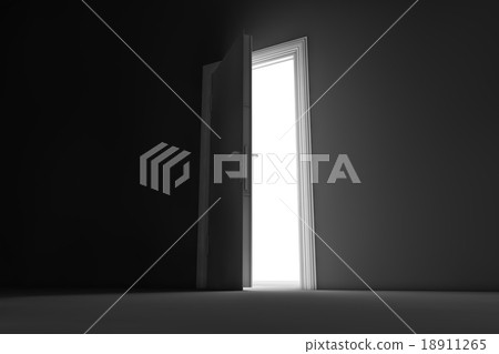 Back door 18911265