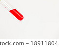 Glass tube used in biochemical analysis. 18911804