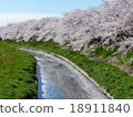 櫻花2 18911840