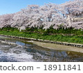 櫻花3 18911841
